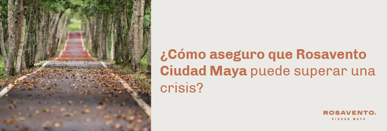 ¿ROSAVENTO Ciudad Maya puede superar una crisis?