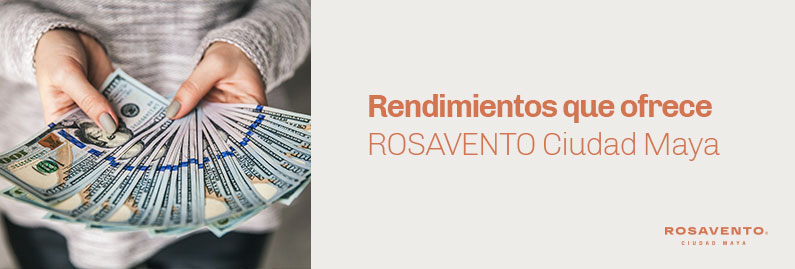 Rendimientos que ofrece ROSAVENTO Ciudad Maya